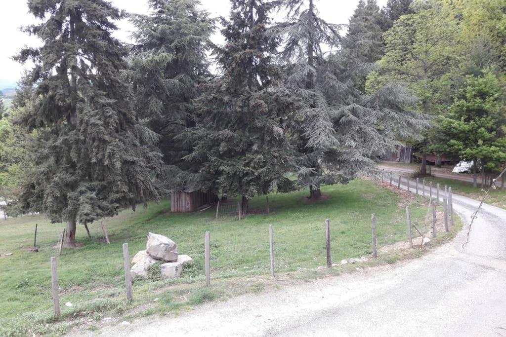 Gite Le Pilat Vernoux-en-Vivarais Zewnętrze zdjęcie